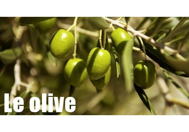 Le Olive